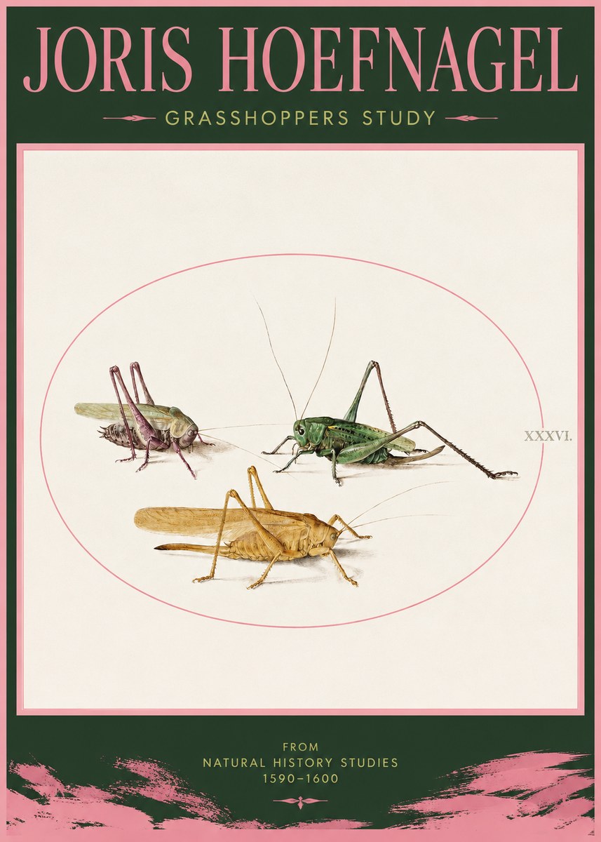 Joris Hoefnagel Grasshoppers Study No2 - Póster