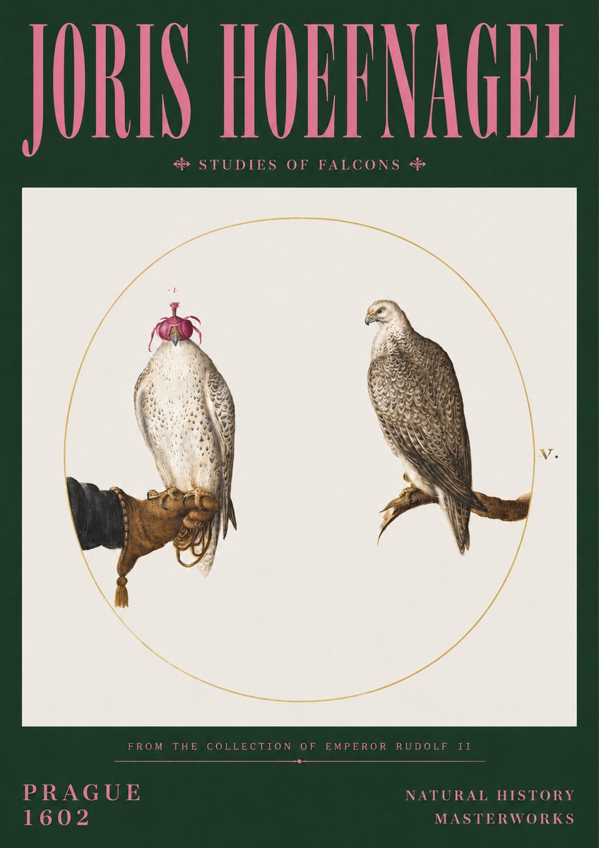 Joris Hoefnagel Studies of Falcons No3 - Póster