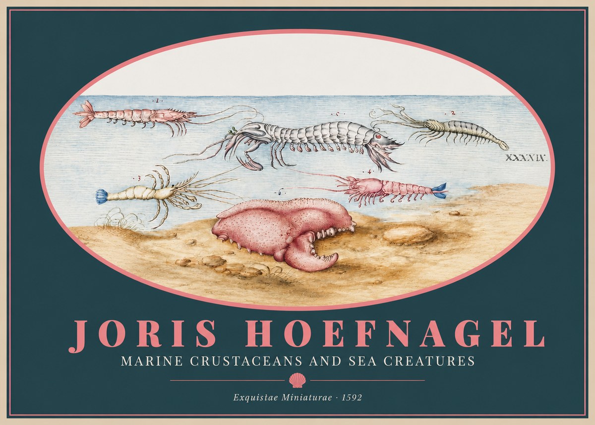 Joris Hoefnagel Marine Crustaceans and Sea Creature No2 - Póster