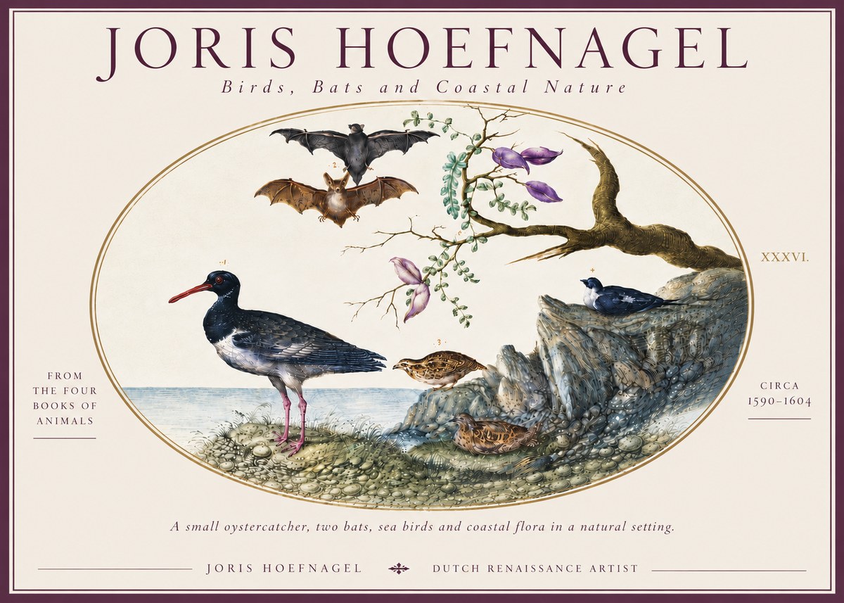 Joris Hoefnagel Birds, Bats and Coastal Nature No6 - Póster