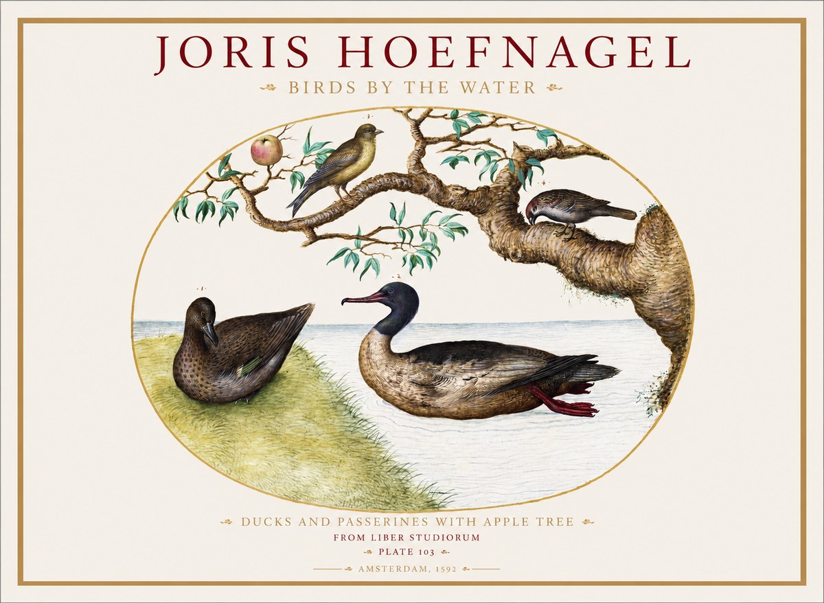 Joris Hoefnagel Ducks and Passerines with Apple Tree No1 - Póster