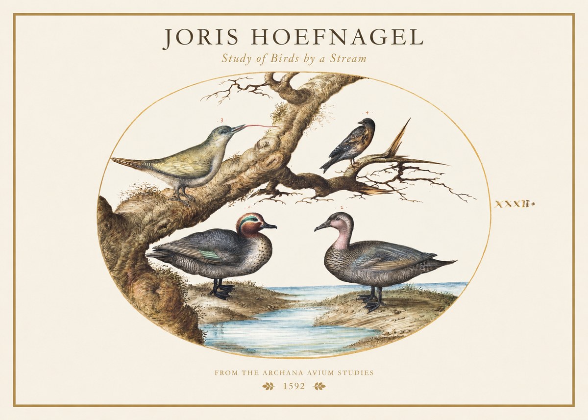 Joris Hoefnagel Study of Birds by a Stream No1 - Póster