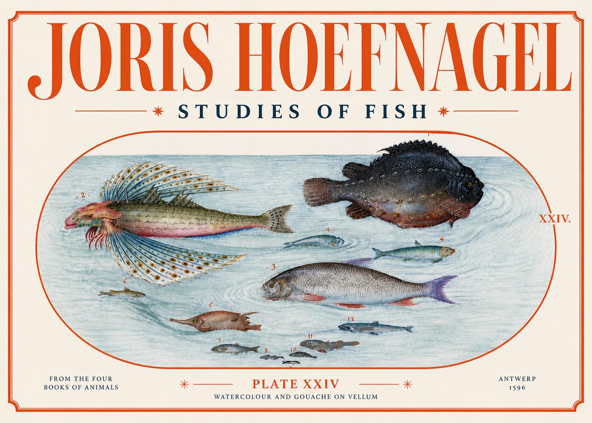 Joris Hoefnagel Studies of Fish II No4 - Póster
