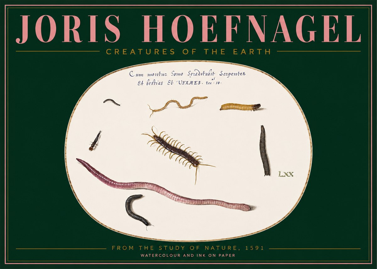 Joris Hoefnagel Creatures of the Earth II No2 - Póster