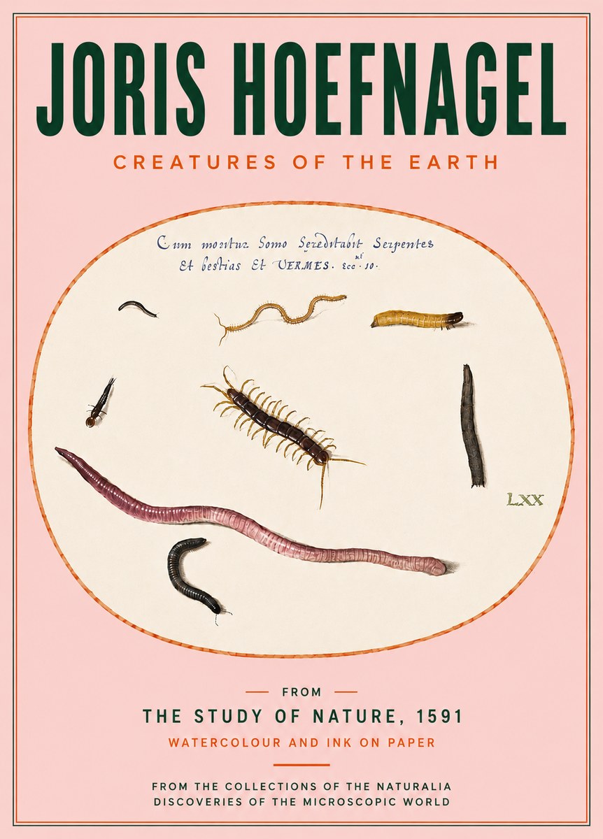 Joris Hoefnagel Creatures of the Earth II No4 - Póster
