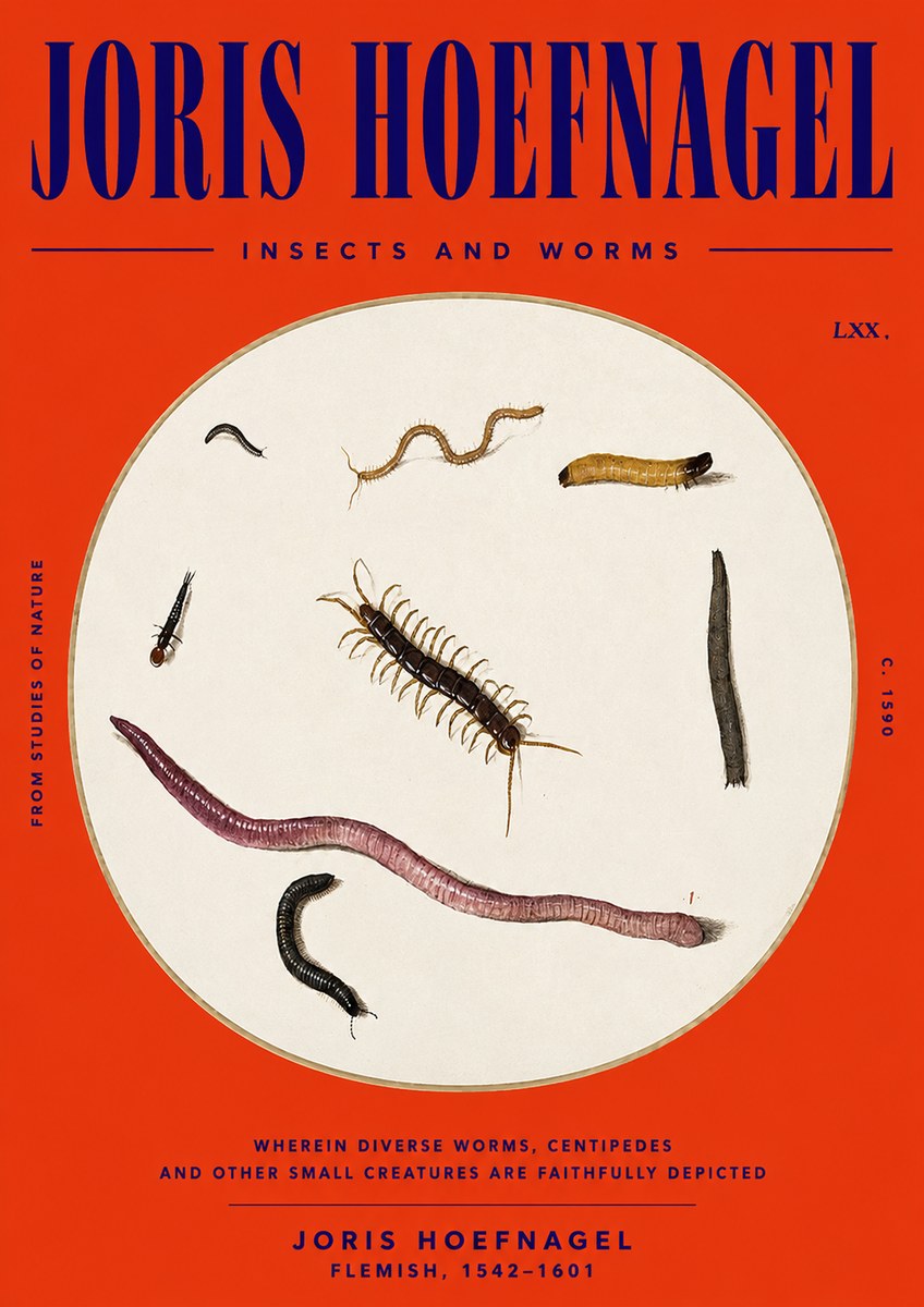 Joris Hoefnagel Creatures of the Earth II No6 - Póster