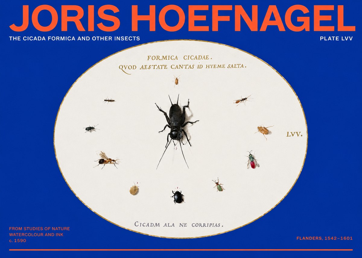 Joris Hoefnagel Formica Cicadae No6 - Póster