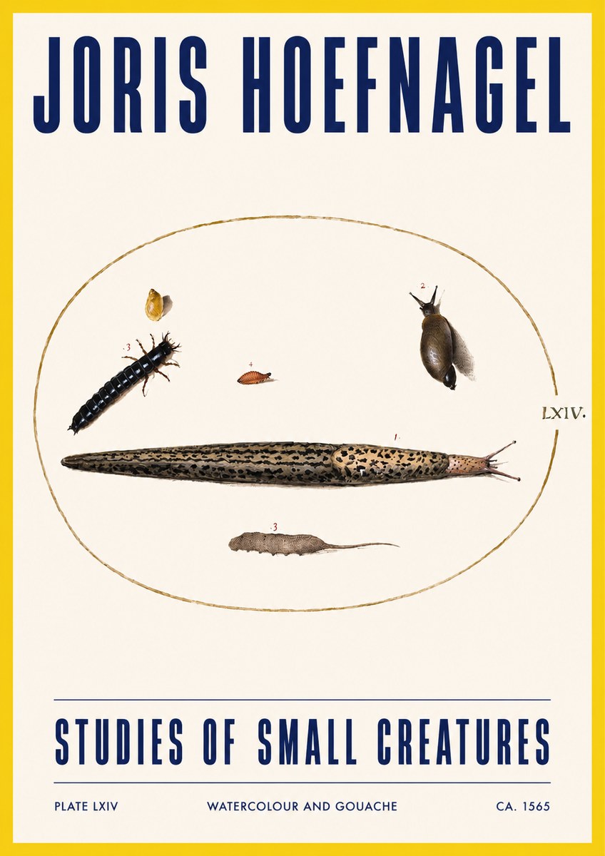 Joris Hoefnagel Plate Lxiv No3 - Póster