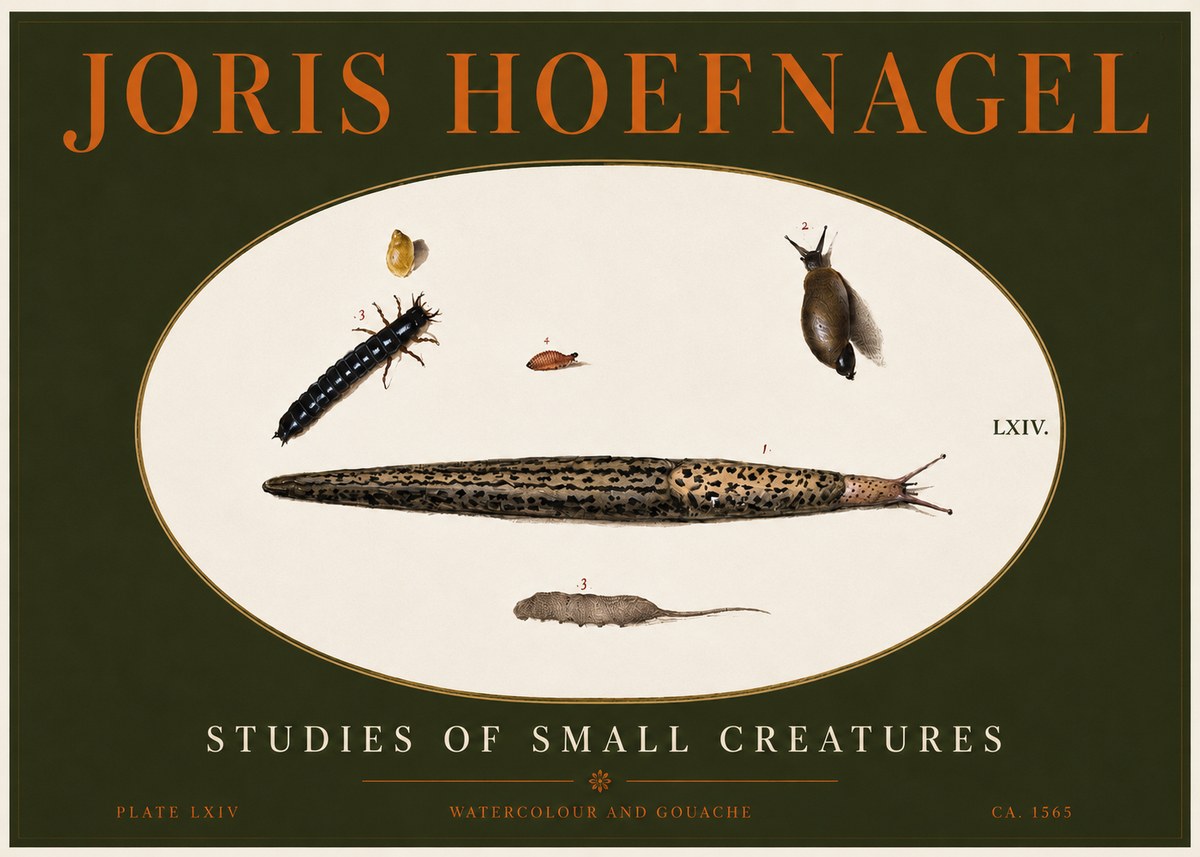 Joris Hoefnagel Plate Lxiv No4 - Póster