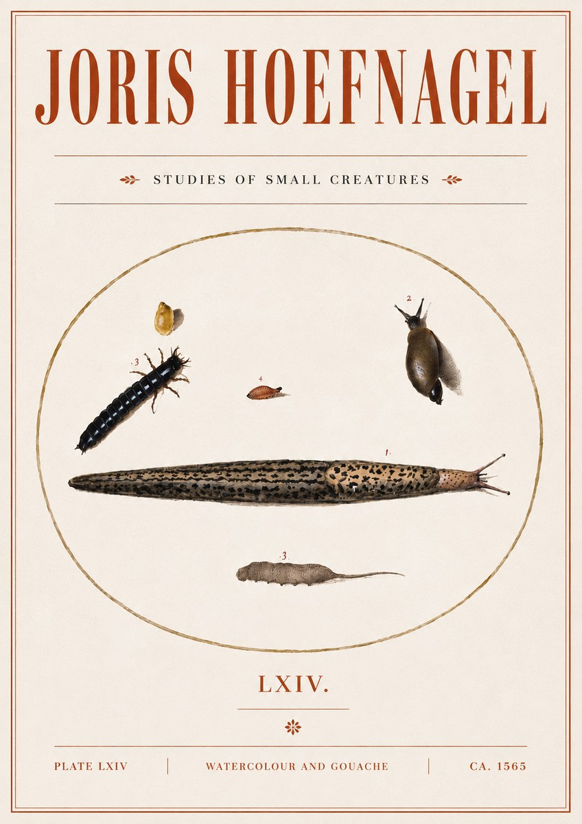Joris Hoefnagel Plate Lxiv No5 - Póster