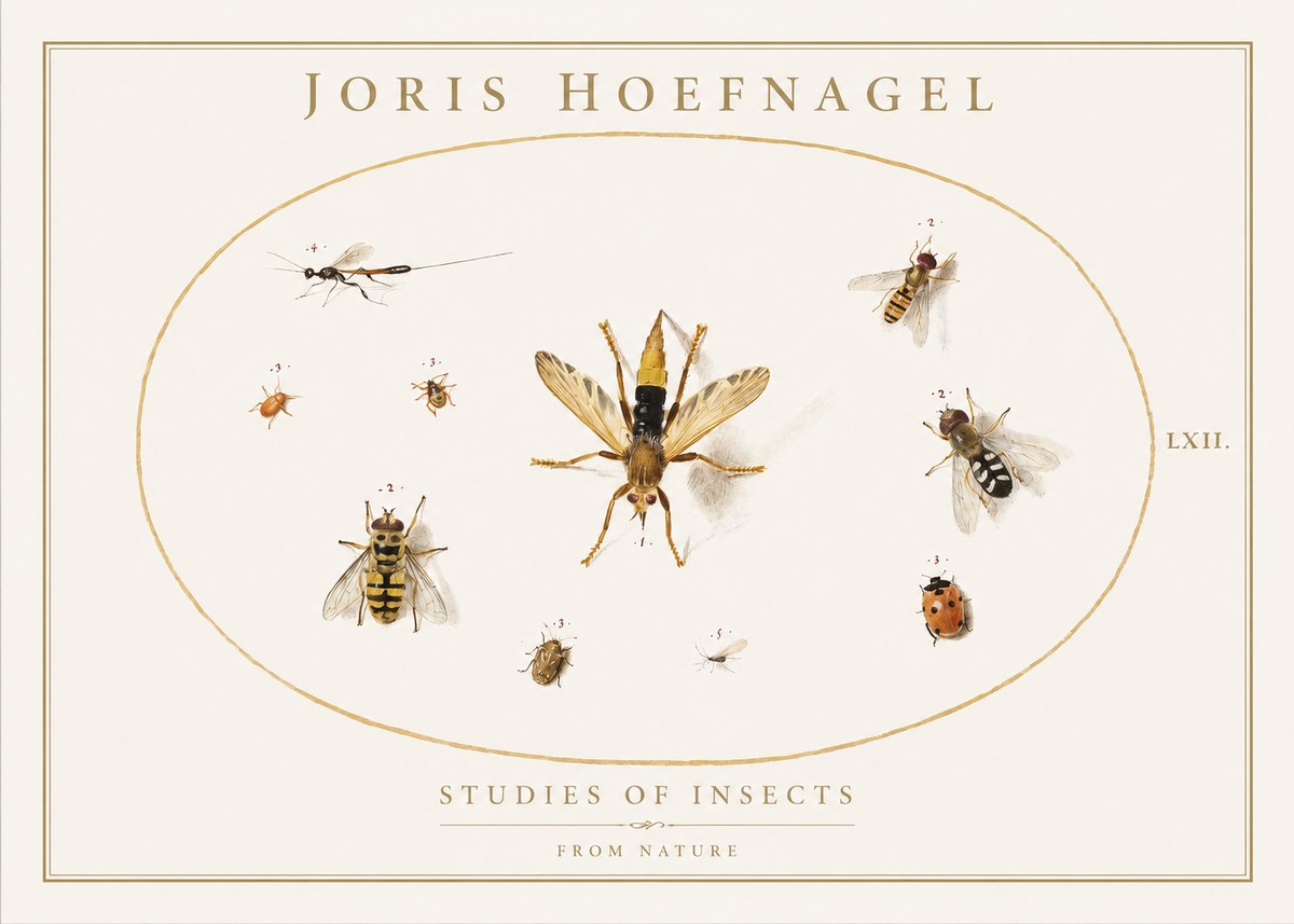 Joris Hoefnagel Studies of Insects IV No1 - Póster