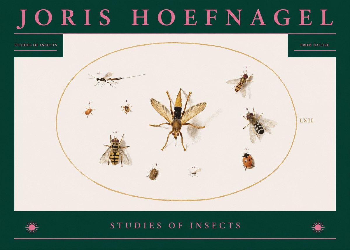 Joris Hoefnagel Studies of Insects IV No2 - Póster