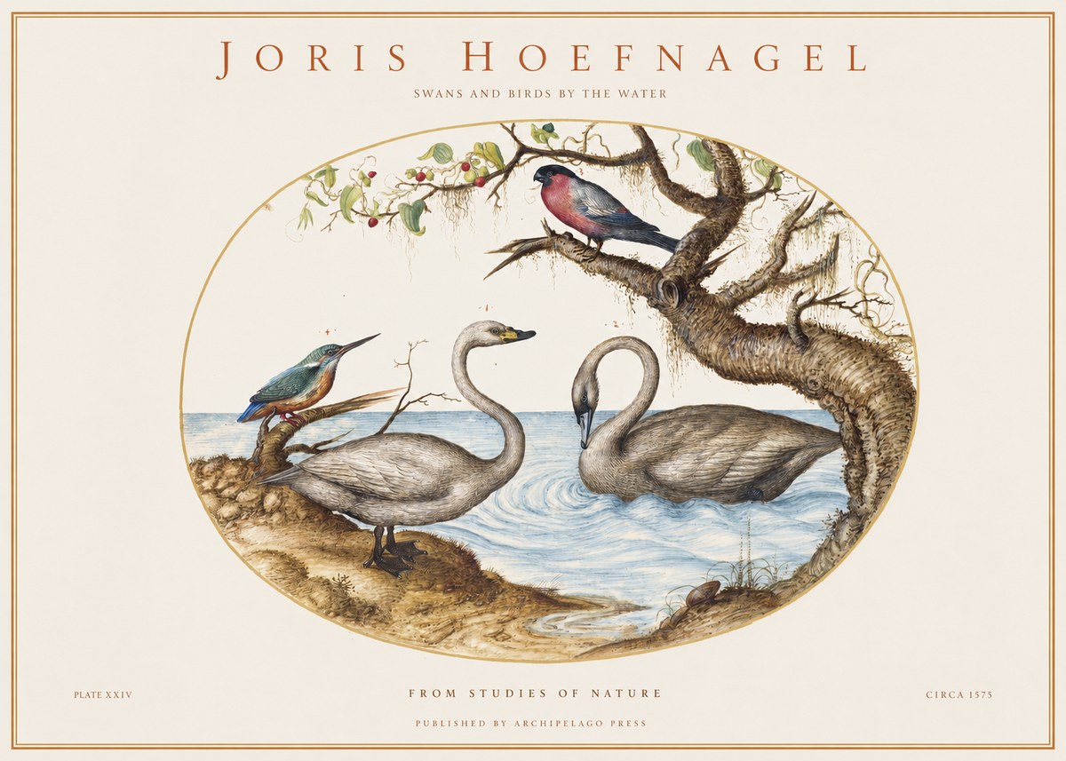 Joris Hoefnagel Swans and Birds by the Water No1 - Póster