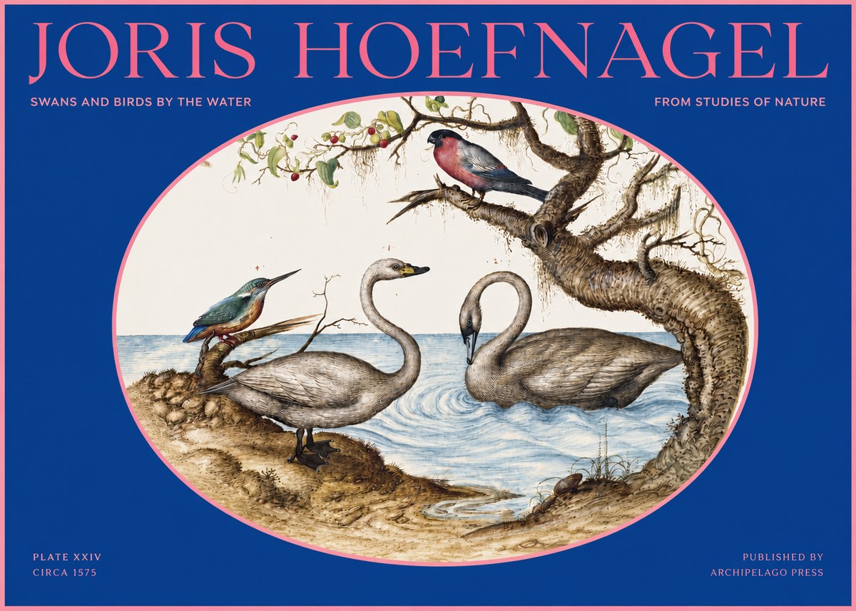 Joris Hoefnagel Swans and Birds by the Water No2 - Póster