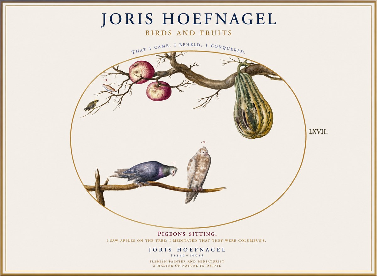 Joris Hoefnagel Pigeons Sitting. No1 - Póster