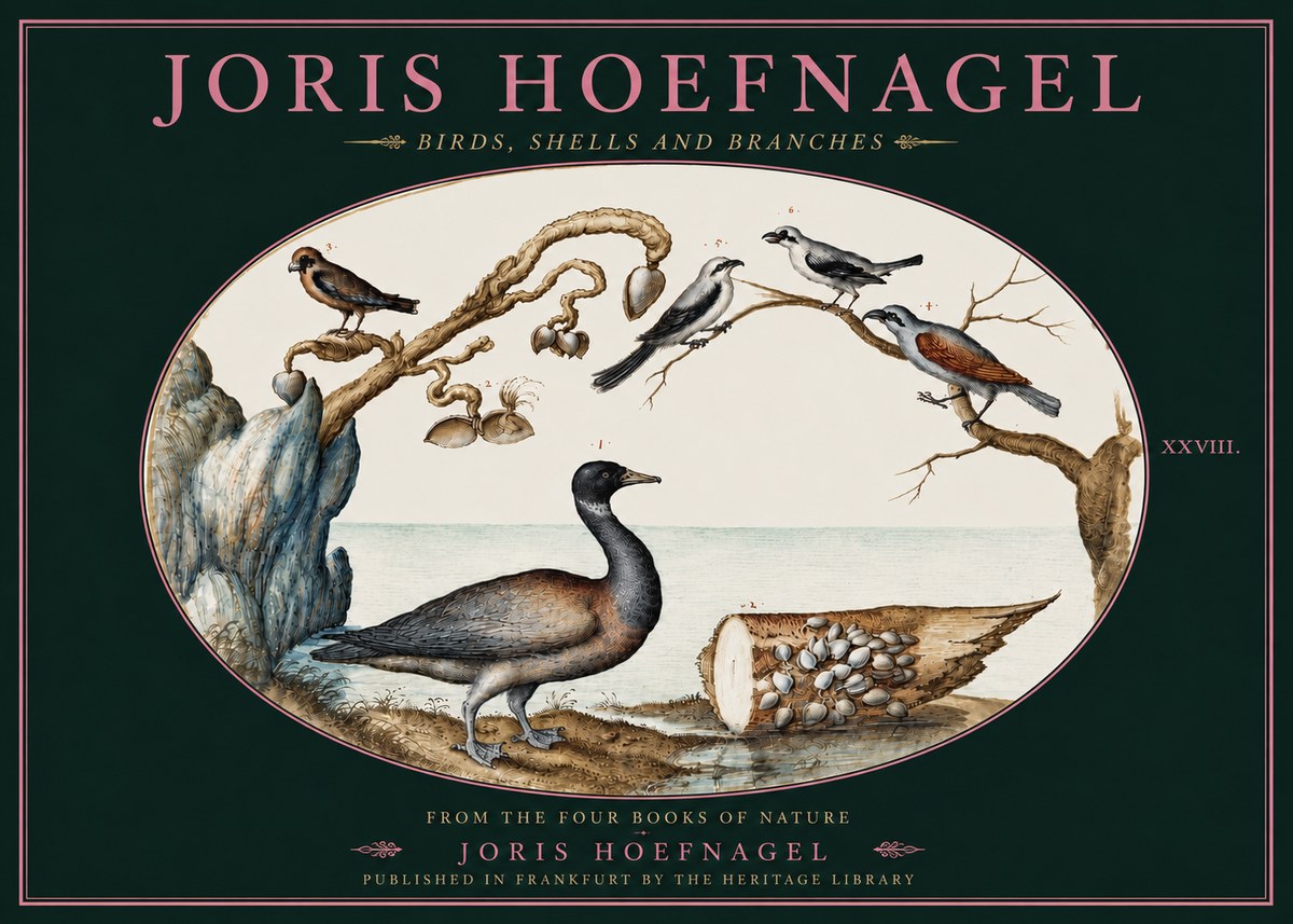 Joris Hoefnagel Birds, Shells and Branches No4 - Póster