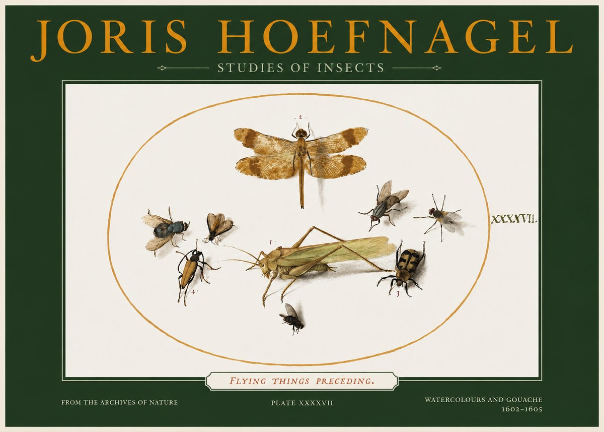 Joris Hoefnagel Flying Things Preceding. No2 - Póster