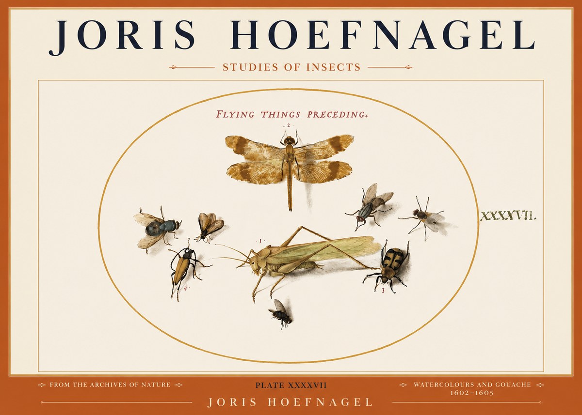Joris Hoefnagel Flying Things Preceding. No3 - Póster