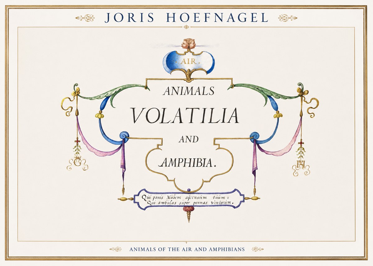 Joris Hoefnagel Animals Volatilia and Amphibia. No1 - Póster