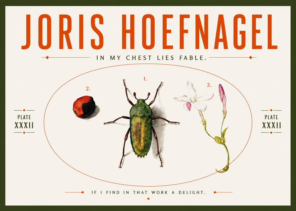 Joris Hoefnagel In My Chest Lies Fable No5 - Póster