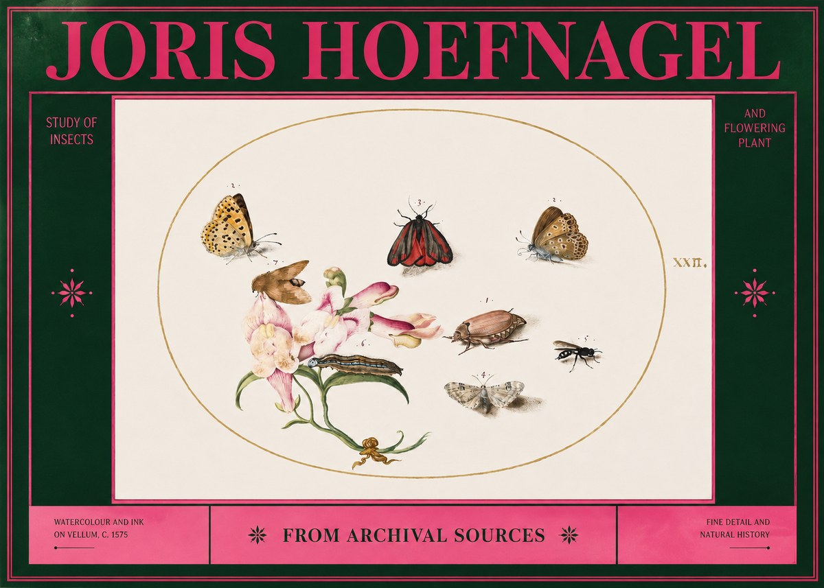 Joris Hoefnagel Study of Insects and Flowering Plant No2 - Póster