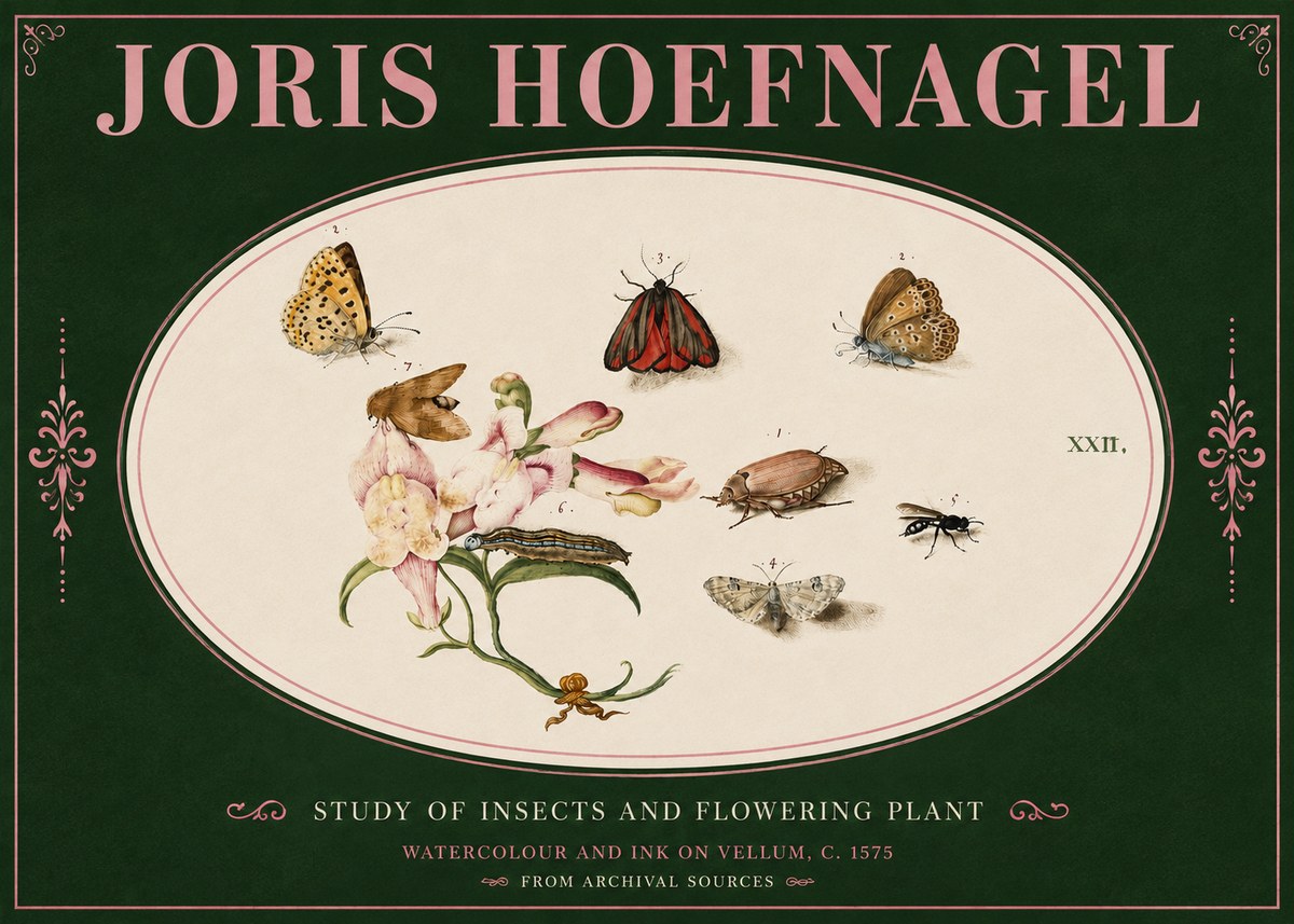 Joris Hoefnagel Study of Insects and Flowering Plant No4 - Póster
