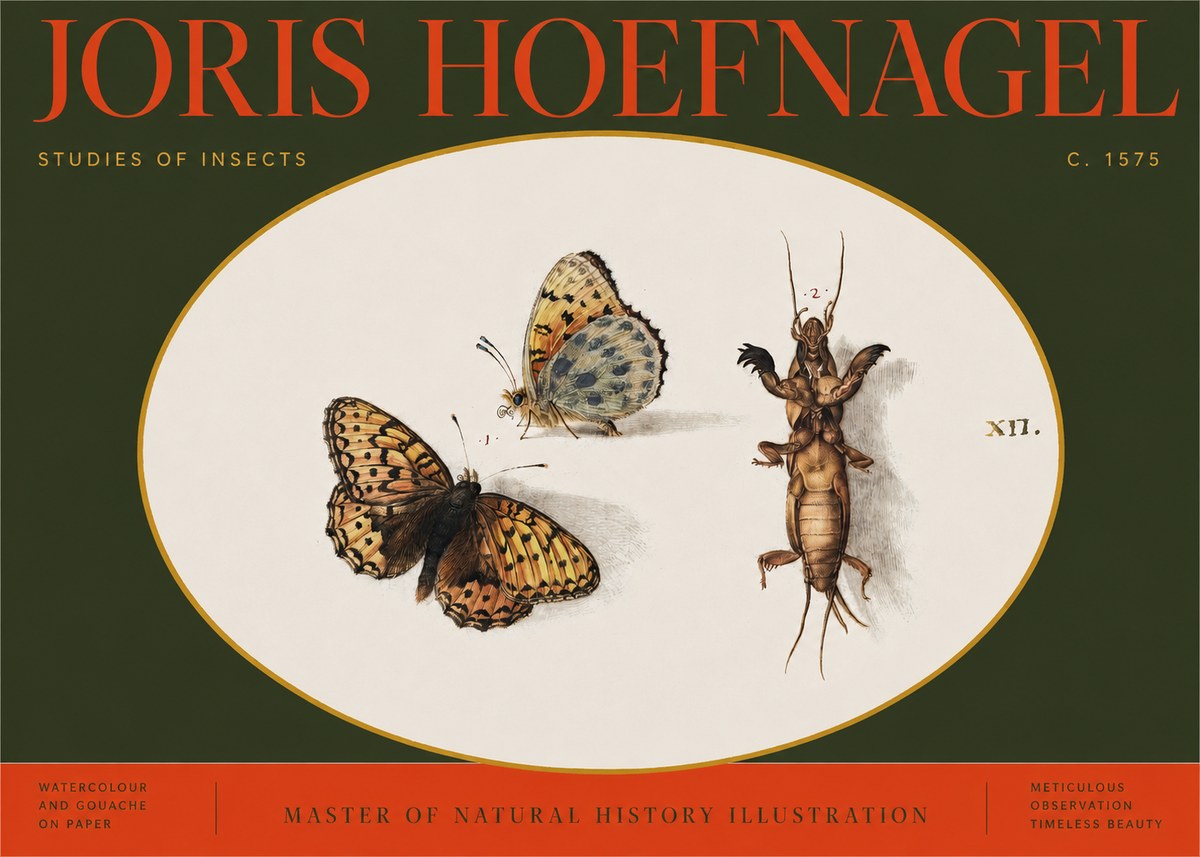 Joris Hoefnagel Studies of Insects Xii No2 - Póster