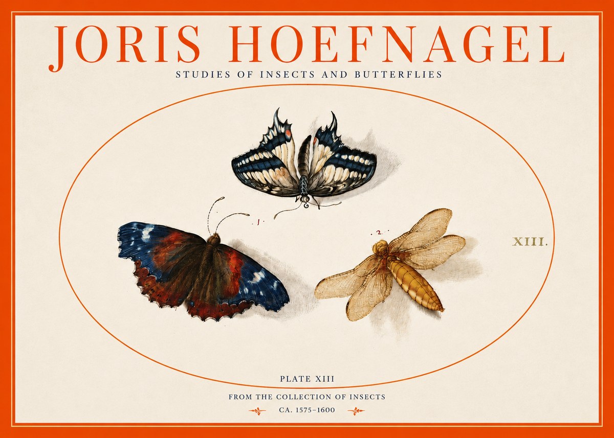 Joris Hoefnagel Studies of Insects - Plate Xiii No3 - Póster