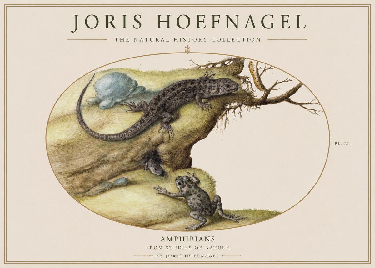 Joris Hoefnagel Amphibians from Studies of Nature No1 - Póster