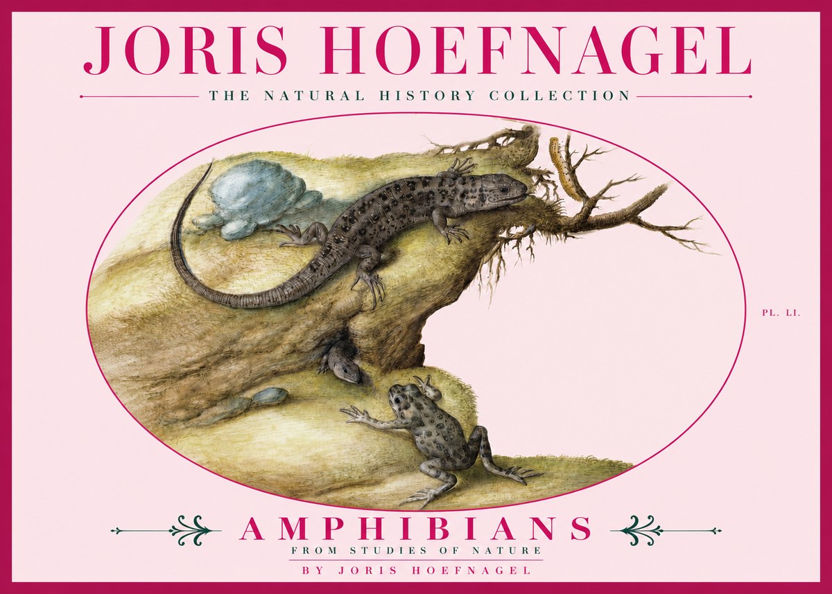 Joris Hoefnagel Amphibians from Studies of Nature No3 - Póster