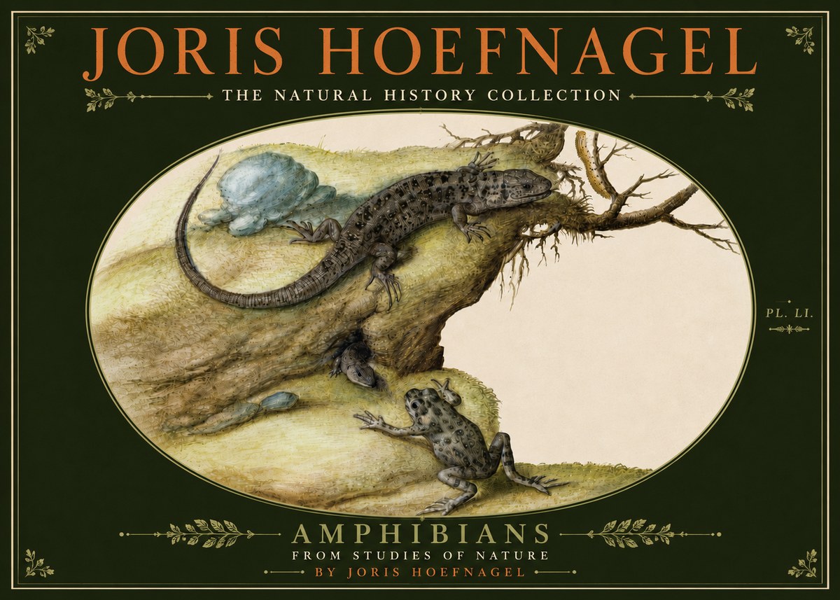 Joris Hoefnagel Amphibians from Studies of Nature No6 - Póster