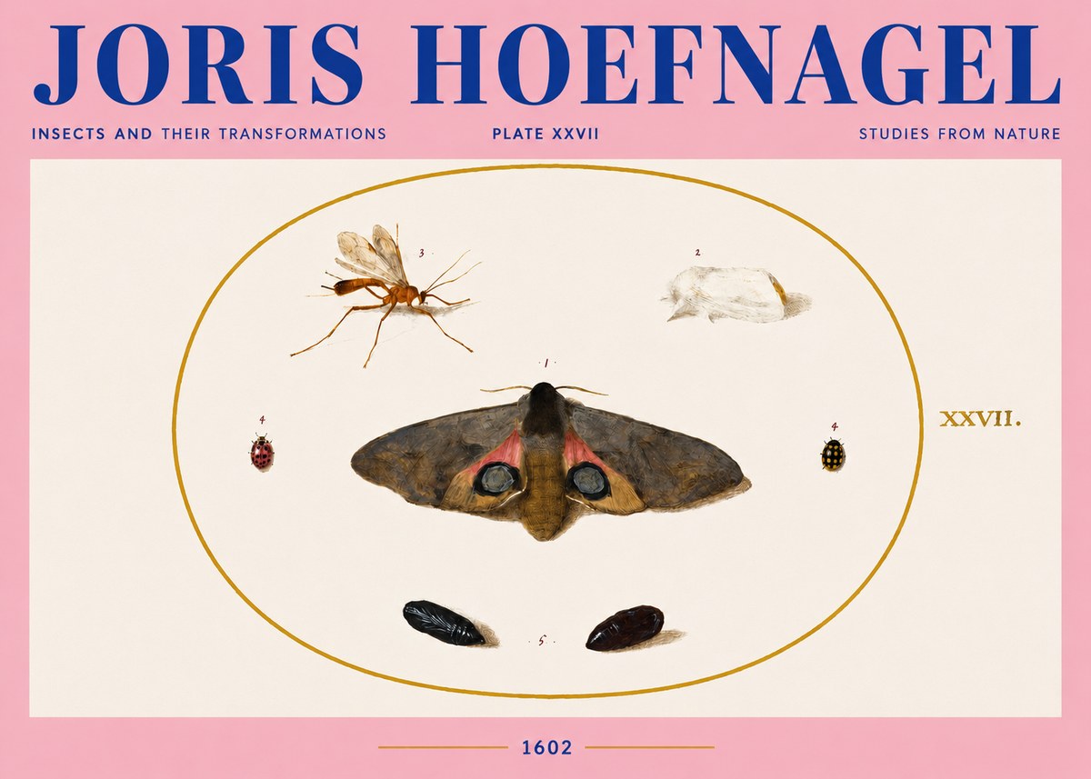 Joris Hoefnagel Insects and Their Transformations - Plate Xxvii No4 - Póster