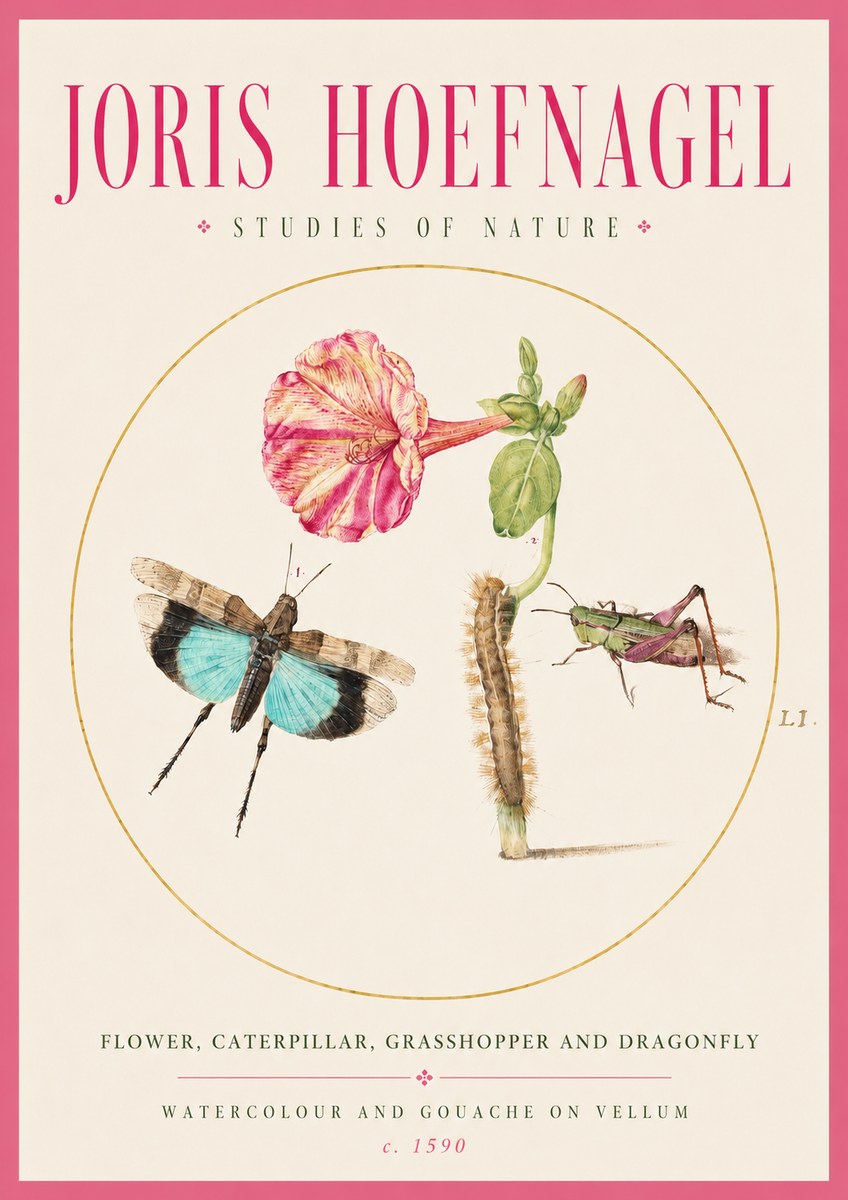 Joris Hoefnagel Plate L1. Studies of Insects and Plants No3 - Póster