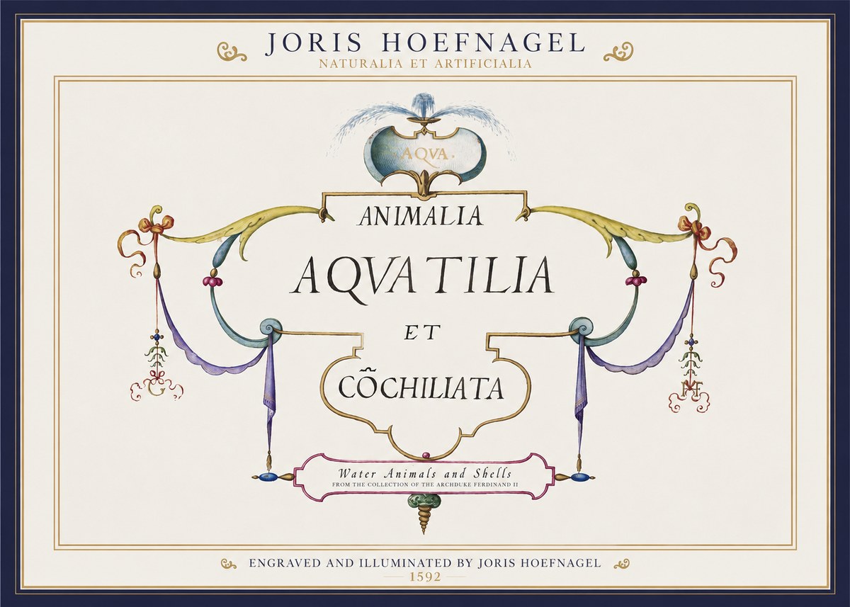 Joris Hoefnagel Animalia Aquatilia Et Cochiliata No1 - Póster