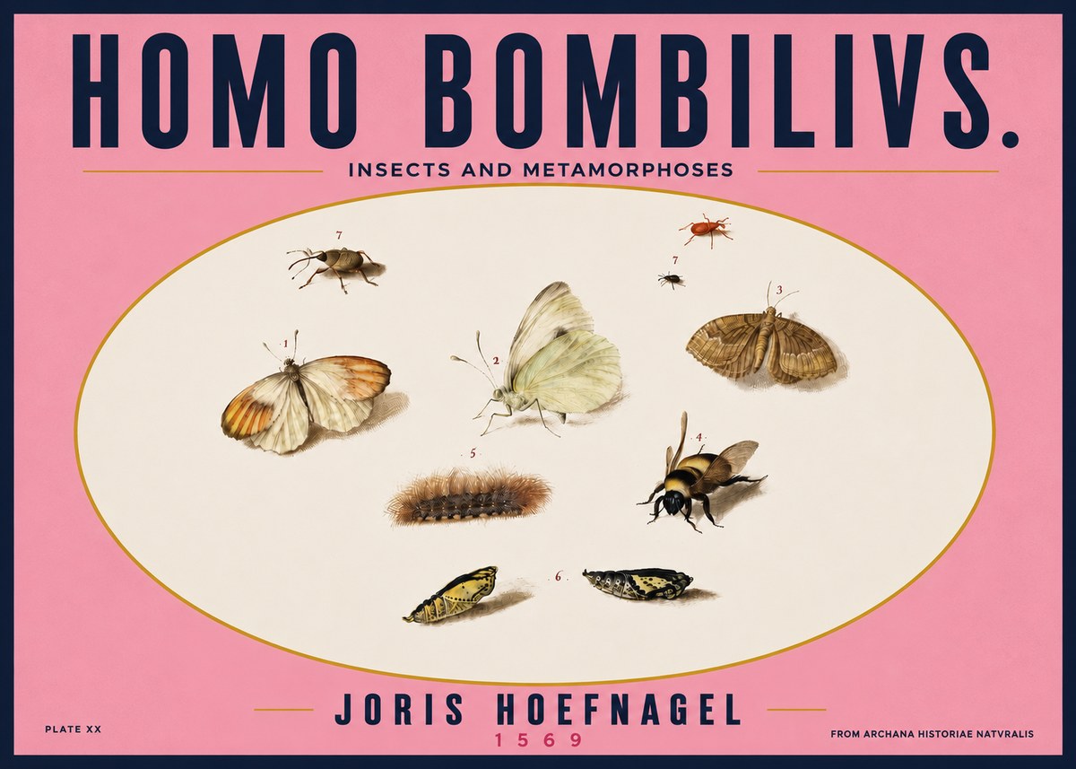 Joris Hoefnagel Homo Bombilivs. Insecta Et Metamorphoses No4 - Póster
