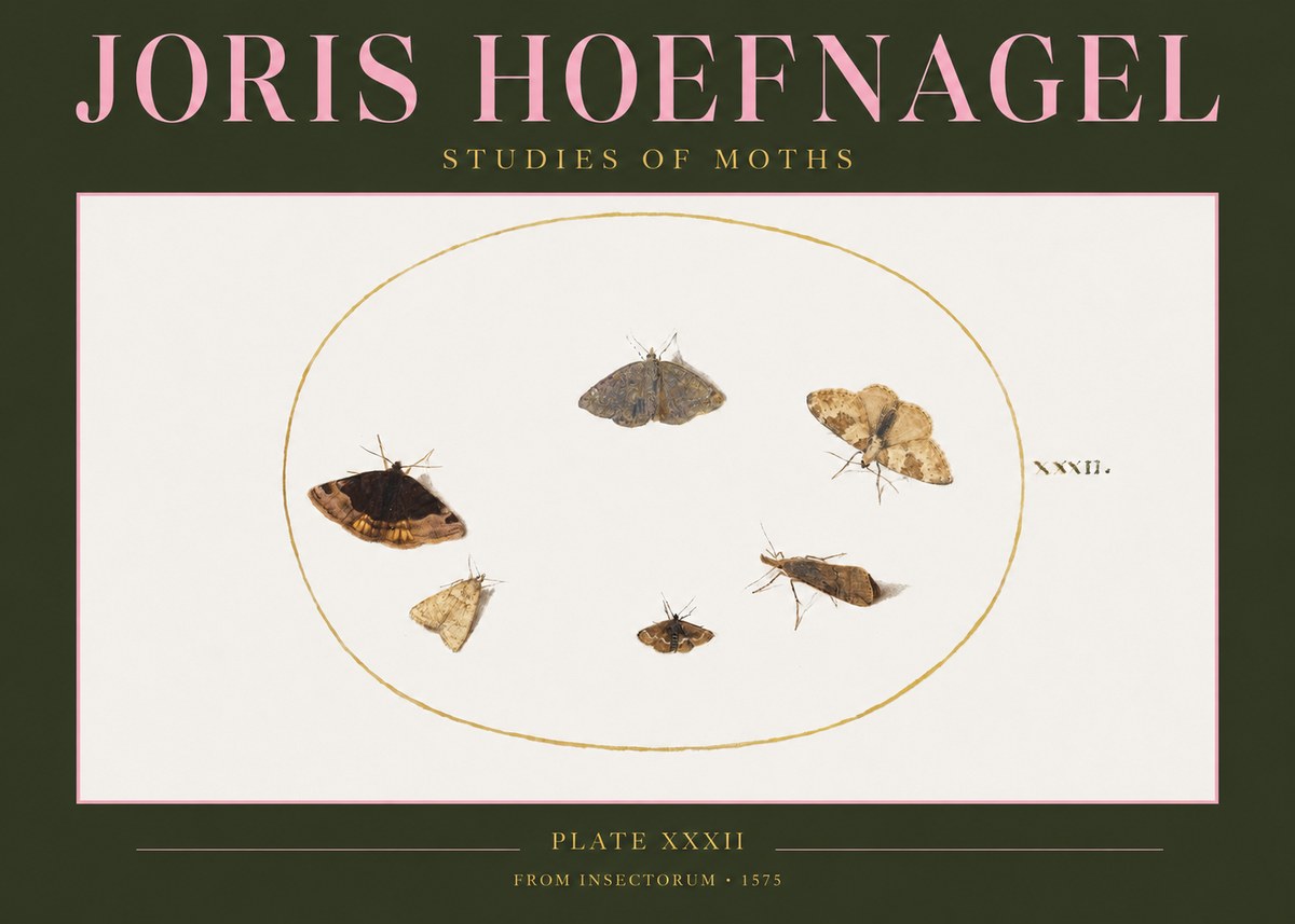 Joris Hoefnagel Studies of Moths III No2 - Póster