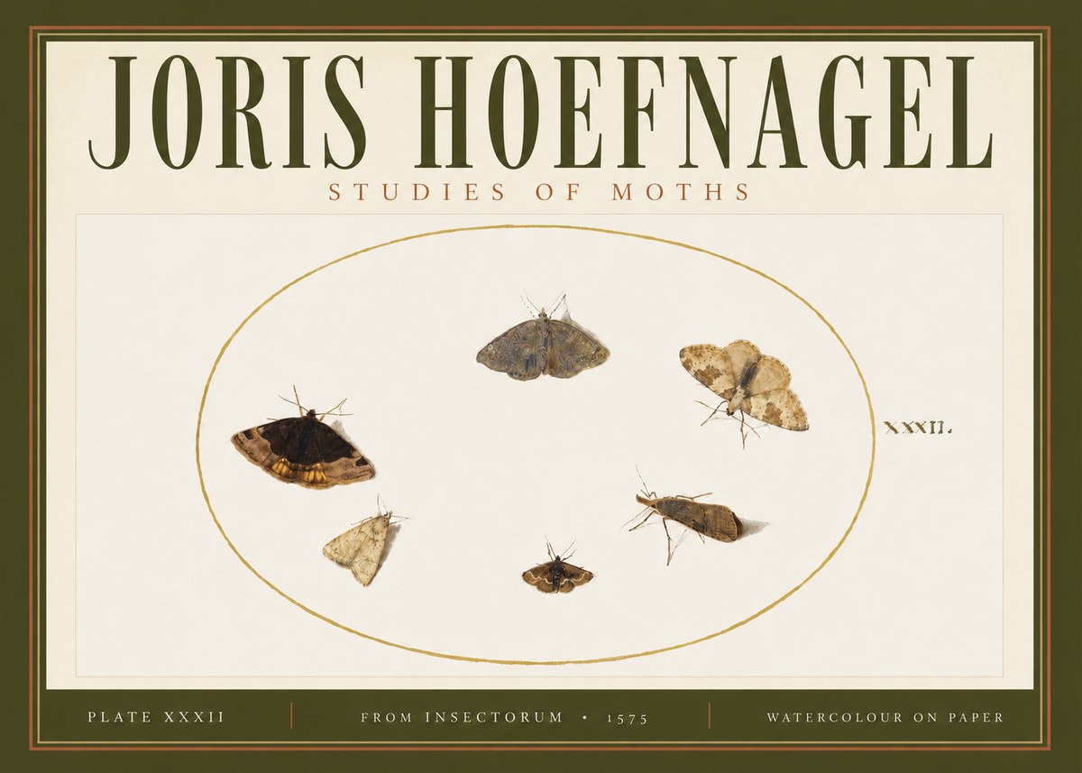 Joris Hoefnagel Studies of Moths III No4 - Póster