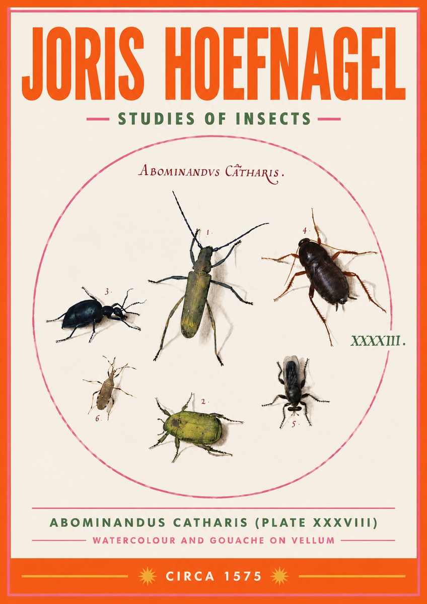 Joris Hoefnagel Abominandus Catharis (Plate Xxxviii) No3 - Póster
