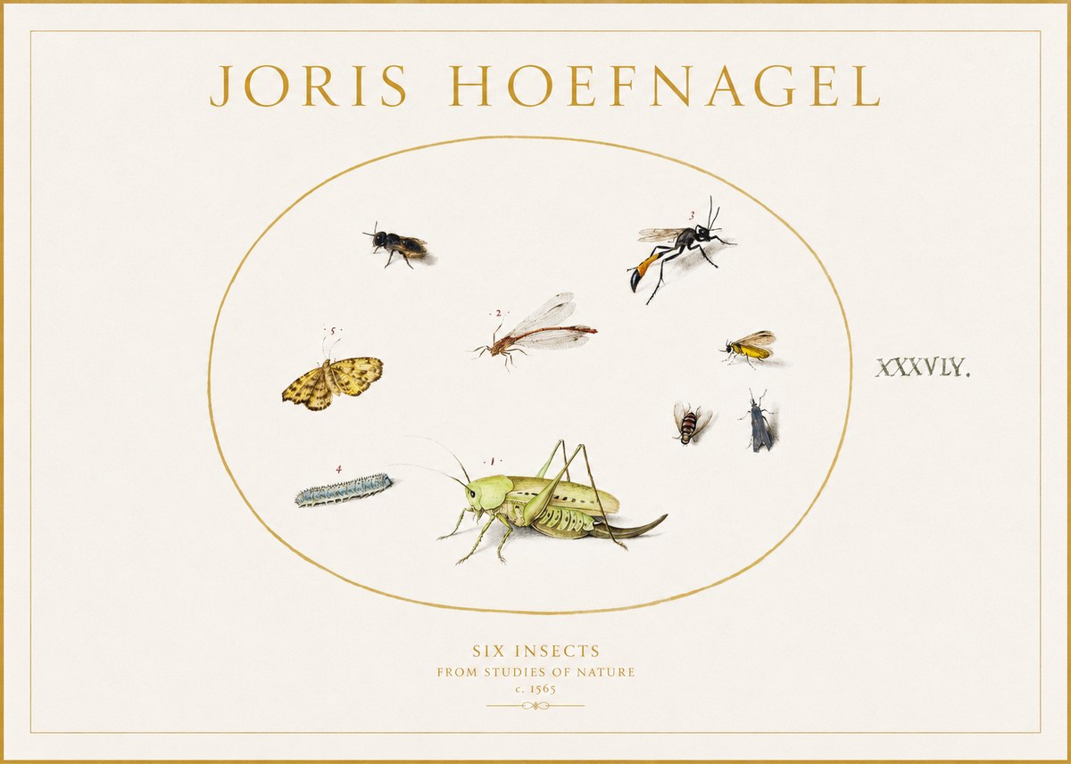 Joris Hoefnagel Six Insects from Studies of Nature C. 1565 No1 - Póster