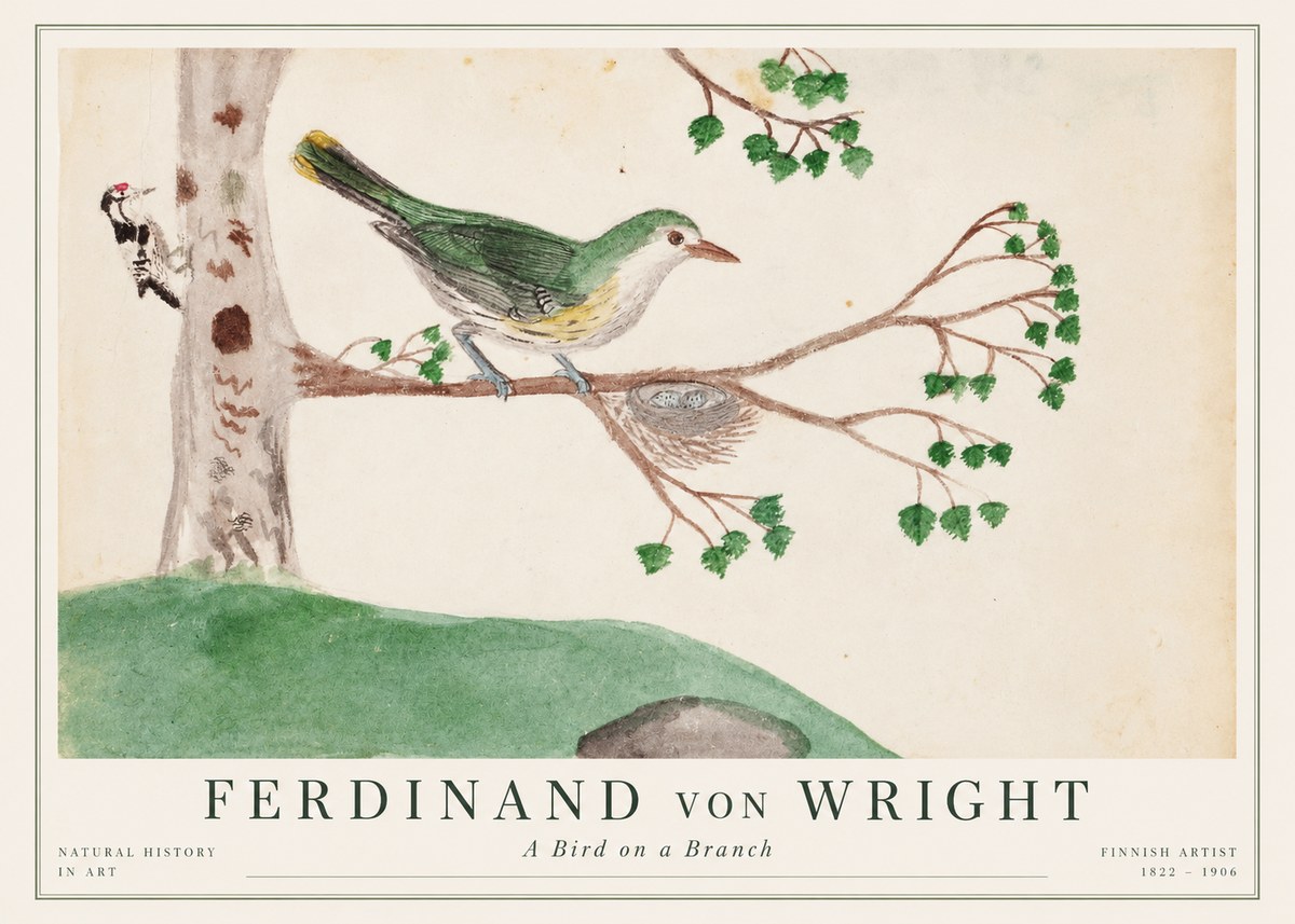 Ferdinand von Wright Green Warbler with Nest No2 - Póster
