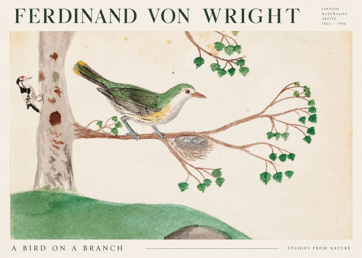 Ferdinand von Wright Green Warbler with Nest No3 - Póster