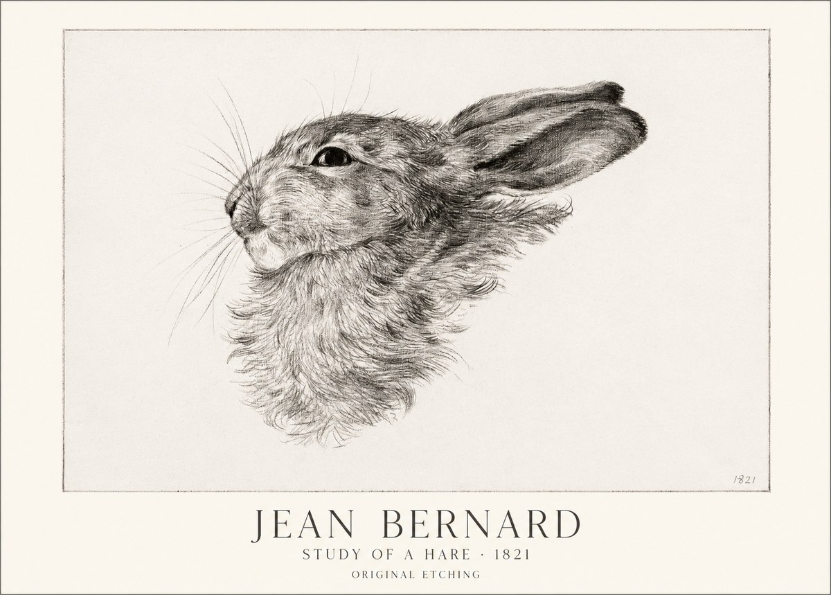Jean Bernard Study of a Hare No1 - Póster