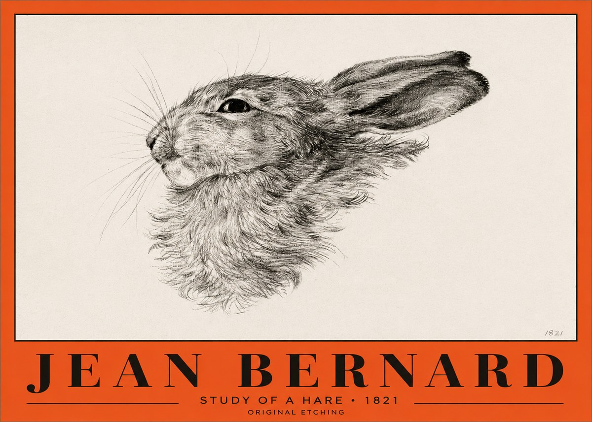 Jean Bernard Study of a Hare No2 - Póster