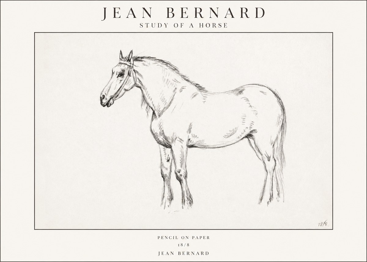 Jean Bernard Study of a Horse XVII No1 - Póster