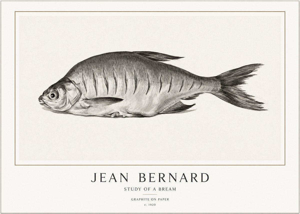 Jean Bernard Study of a Bream No1 - Póster