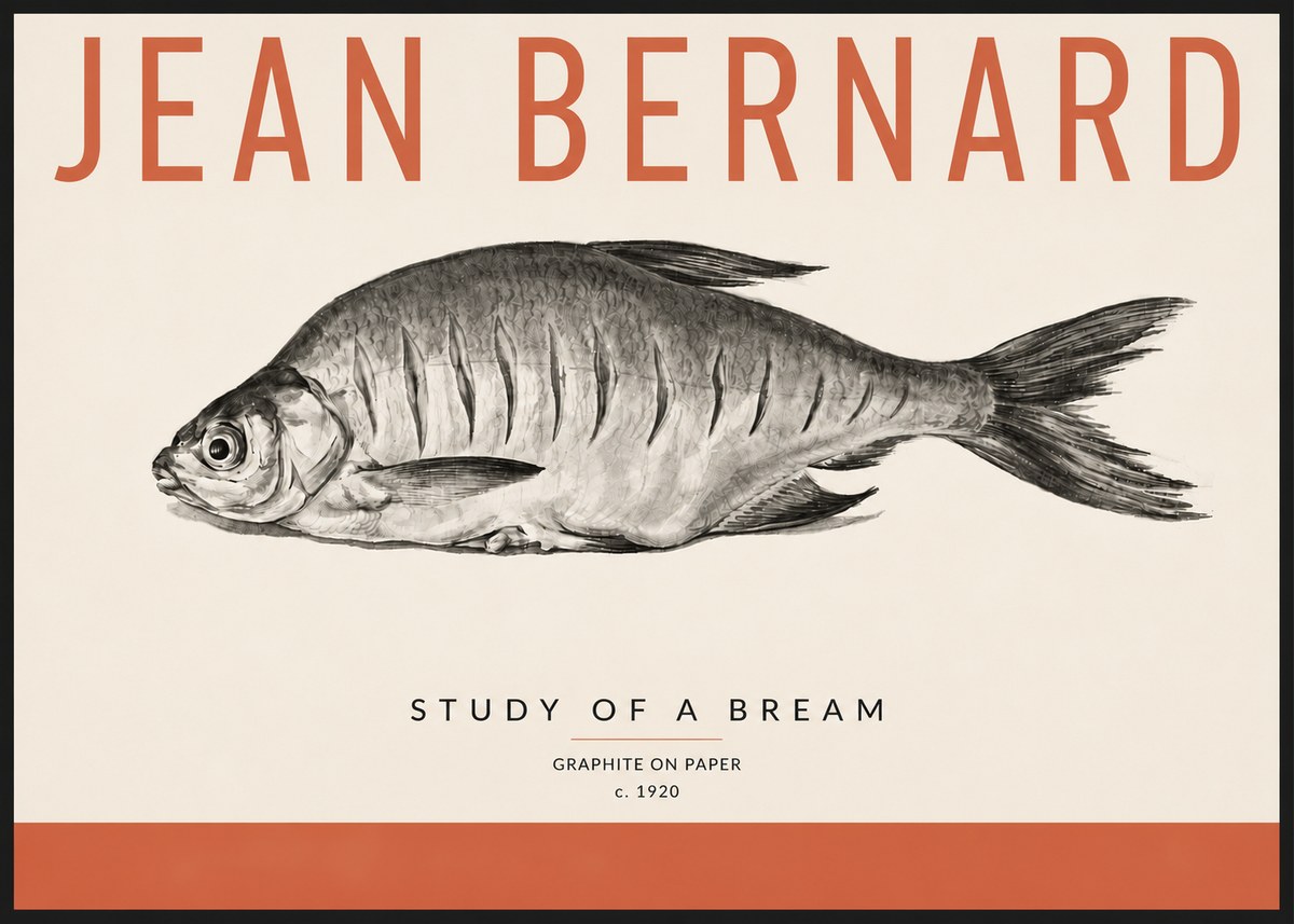Jean Bernard Study of a Bream No4 - Póster