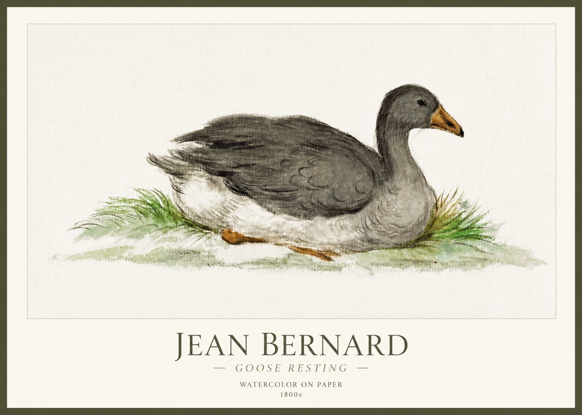 Jean Bernard Goose Resting No1 - Póster