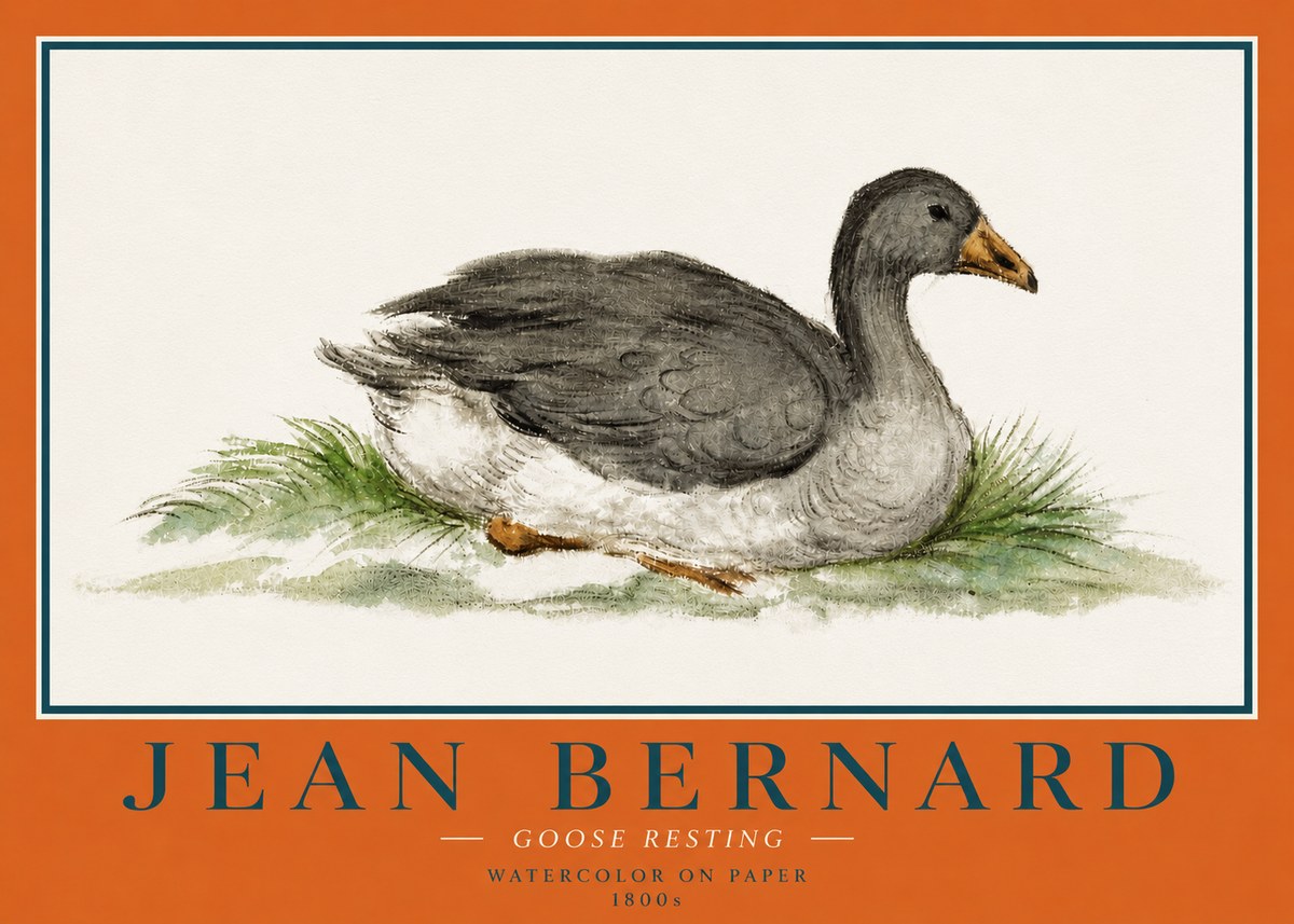 Jean Bernard Goose Resting No4 - Póster