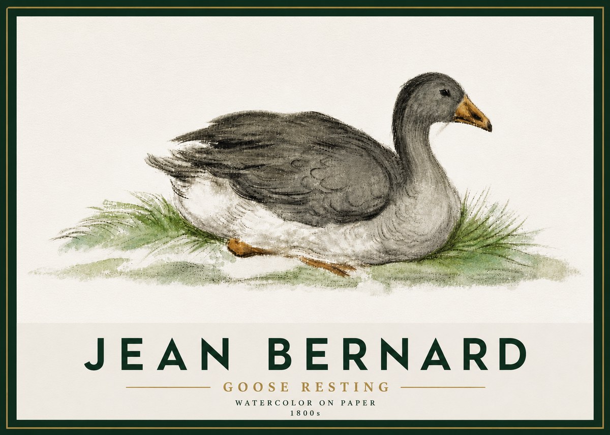 Jean Bernard Goose Resting No5 - Póster