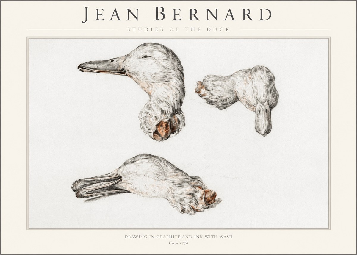 Jean Bernard Studies of the Duck No1 - Póster